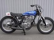 Yamaha SR500 Flat Track Style