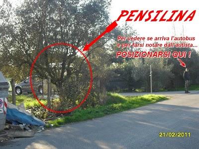 Pantanelle degli orrori: Parte 6