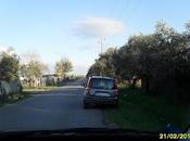 Pantanelle degli orrori: Parte