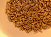 grano vestito: farro!