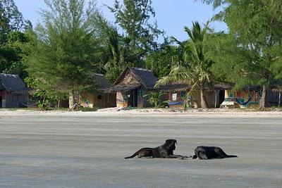 Koh Phi Phi e Koh Phayam