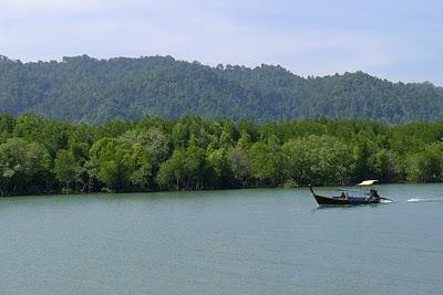 Koh Phi Phi e Koh Phayam