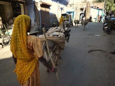 Jodhpur