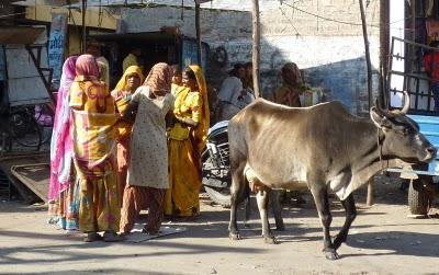 Jodhpur