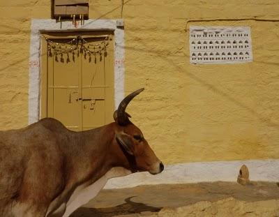 Jaisalmer