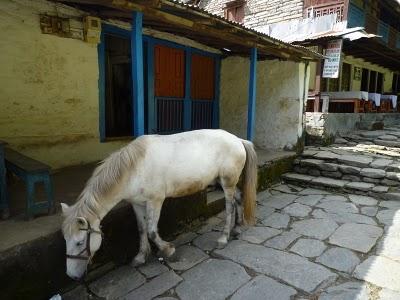 Annapurna - Himalaya