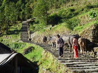 Annapurna - Himalaya