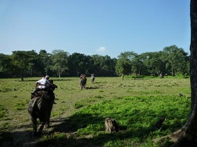 Chitwan