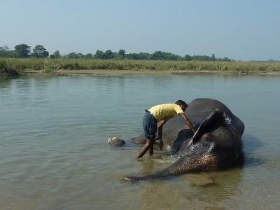 Chitwan