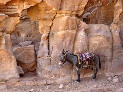 Petra