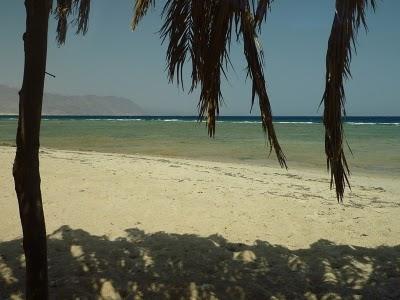 Sinai - Bir Sweir