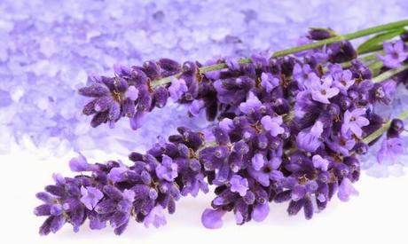 Shortbread alla lavanda