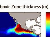 Nino concentrazione ossigeno negli oceani Giu47furb’s Blog