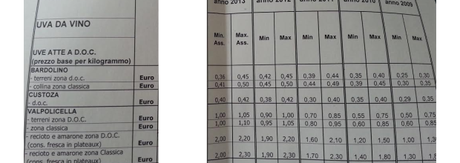 Evoluzione dei prezzi uve in Valpolicella