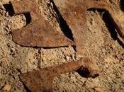 Asce tedesche Polonia