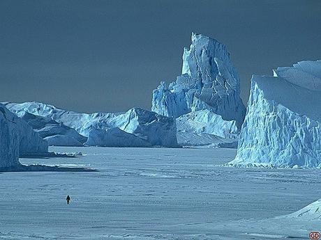 I segni dell'erosione di enormi iceberg sul fondo del mare