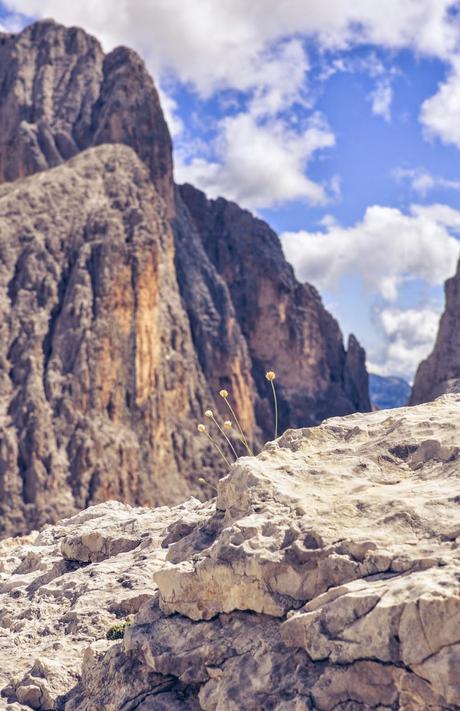 RIFUGIO ROSETTA  [ PICCOLE GUIDE IN FOTOGRAFIE ®]