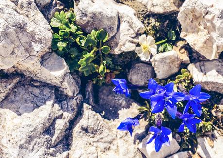 RIFUGIO ROSETTA  [ PICCOLE GUIDE IN FOTOGRAFIE ®]