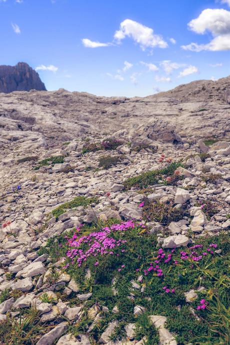 RIFUGIO ROSETTA  [ PICCOLE GUIDE IN FOTOGRAFIE ®]