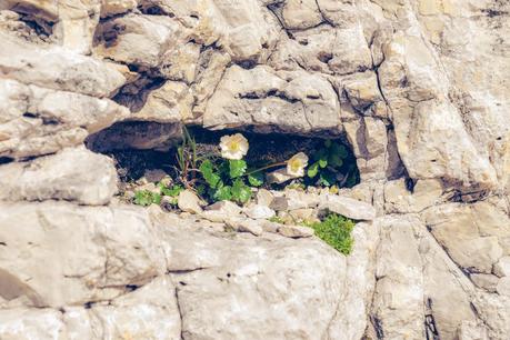 RIFUGIO ROSETTA  [ PICCOLE GUIDE IN FOTOGRAFIE ®]