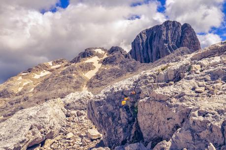 RIFUGIO ROSETTA  [ PICCOLE GUIDE IN FOTOGRAFIE ®]