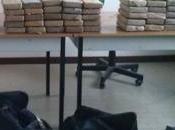 Gioia Tauro, sequestrati cocaina purissima