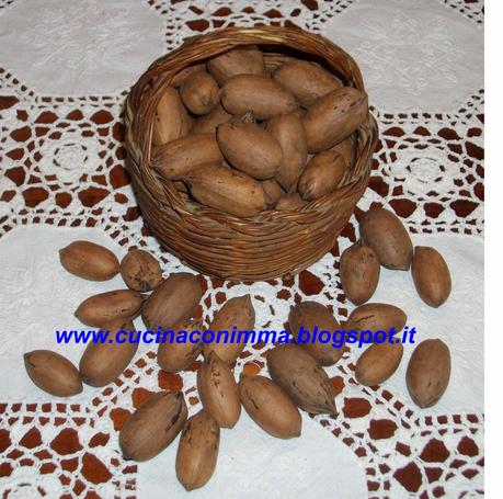 AZIENDA AGRICOLA SIRGOLE... E LE NOCI PECAN