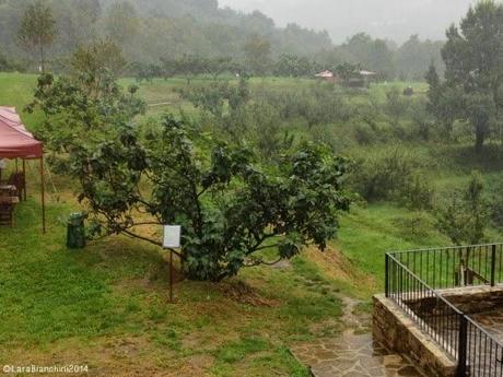 la #fattoriascaldasole, una fabbrica modernissima con due piedi nella natura e la testa in un cielo pulito