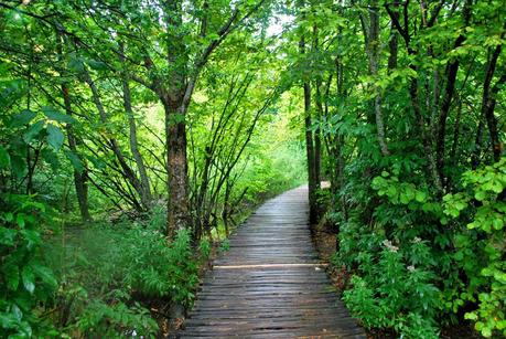 I laghi di Plitvice: quando l'uomo non c'entra...