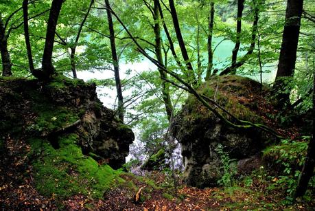 I laghi di Plitvice: quando l'uomo non c'entra...