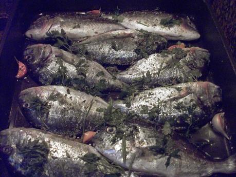 Dal mio splendido mare.