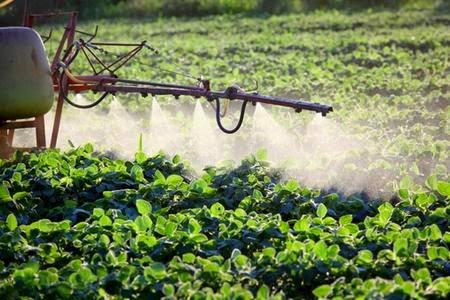 Pericolo pesticidi glifosato nuove leggi mortali