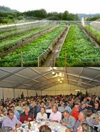 CHERASCO (CN). Da giovedì, quattro giorni per festeggiare la lumaca: dal campo al piatto nella capitale italiana della lumaca.