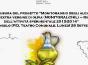 Monitoraggio degli alchil esteri nell'olio extra vergine oliva. Città Angelo convegno.