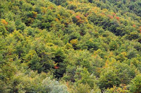 IN ALTA VAL RESIA : il Monte Guarda