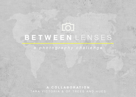 Between Lenses - Settembre :: SILENZIO