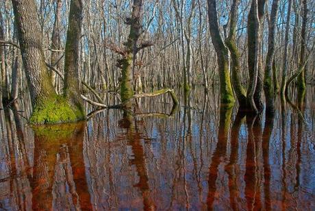 Sentiero Foresta Demaniale e Piscina della Verdesca