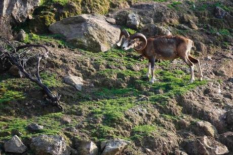 Parco Nazionale del Circeo