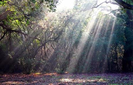 Parco Nazionale del Circeo