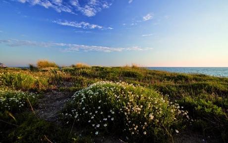 Parco Nazionale del Circeo