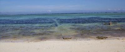 Viaggio nella capitale di Zanzibar, Stone Town