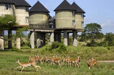 Parco Nazionale Dello Tsavo