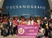 Erasmus, bilancio della risorse saranno mantenute. troverà giusto equilibrio