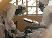 Ebola, ente avverte: qualcosa, entro gennaio avranno milioni casi”