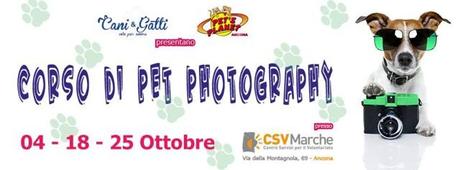 Impariamo a fotografare i nostri amici a 4 zampe ...!!