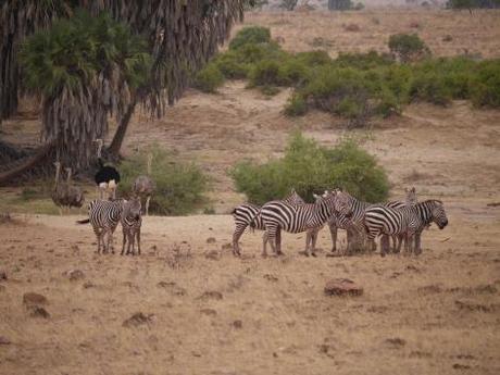 Kenya Africa