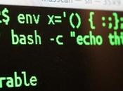 Shellshock: Secondo Apple sono immuni