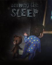 Cover Among The Sleep