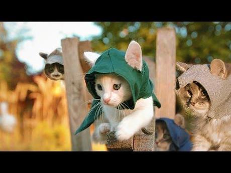 Assassin’s Creed con i gatti? Ecco un divertente live action trailer