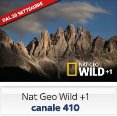 Novità SKY | Nat Geo Wild +1 sul canale 410, ecco come cambia la numerazione